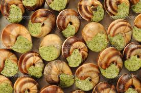 Snails